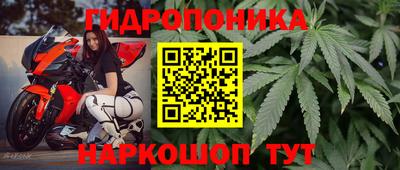 хмурый Новозыбков