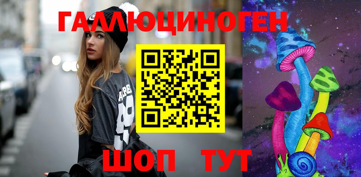 Псилоцибиновые грибы Psilocybe Соликамск