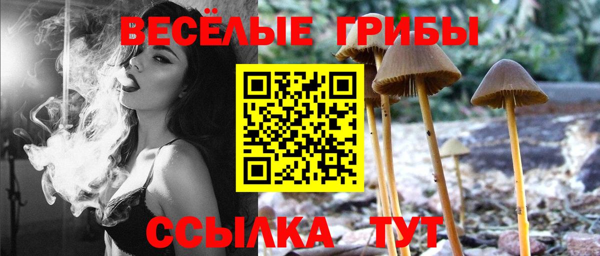 даркнет сайт  Вход с VPN  Соликамск  Псилоцибиновые грибы Cubensis 